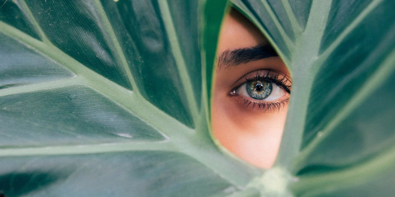 Bin ich von einem Vitamin-B12-Mangel betroffen? - Kurkraft