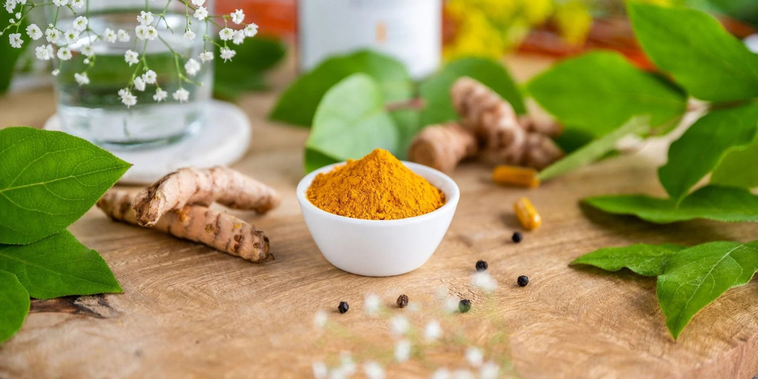 Curcuma – Ayurvedische Heilkunst seit Jahrtausenden. - Kurkraft