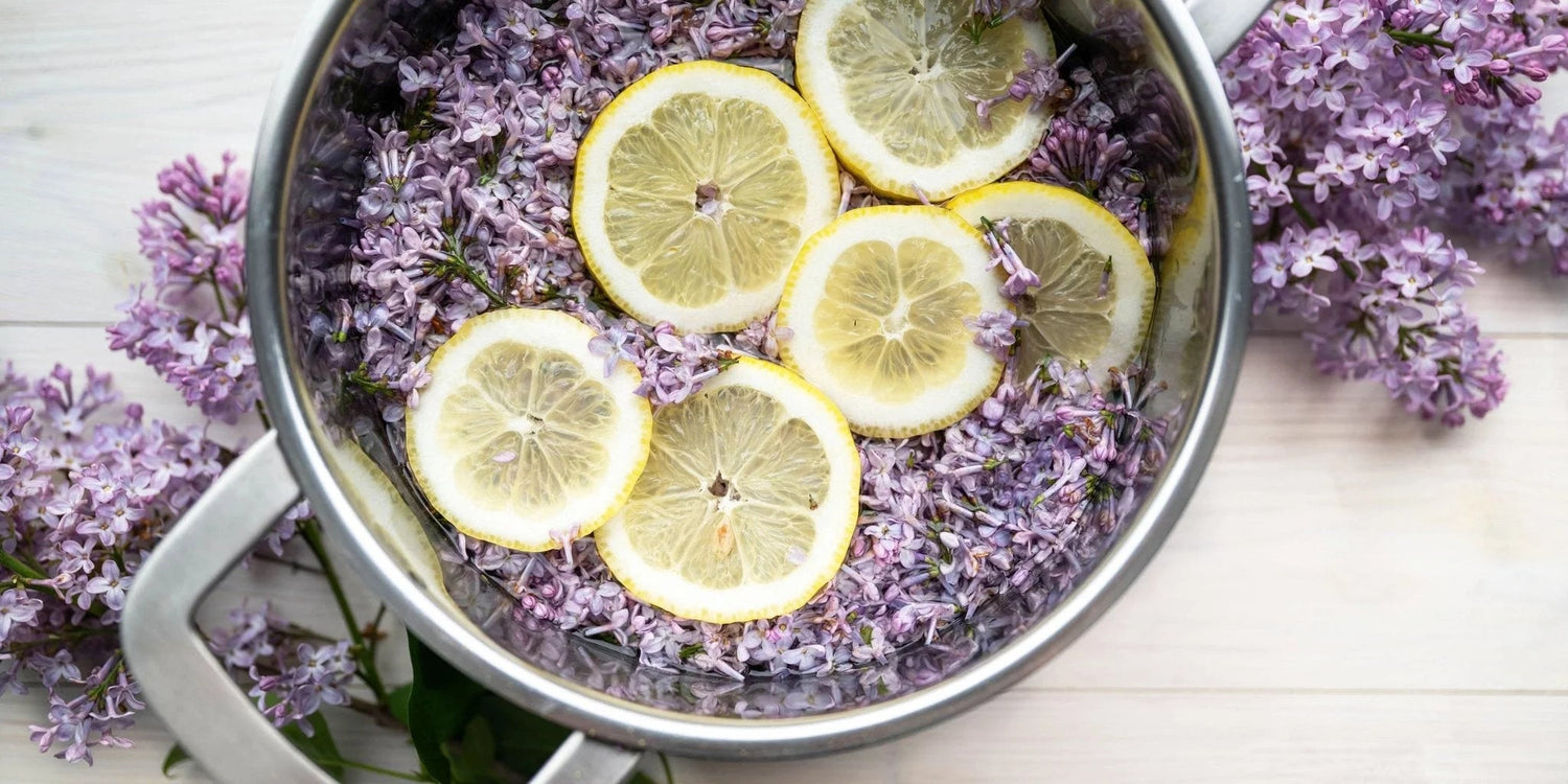 Fliedersirup selbst herstellen – so einfach geht’s. - Kurkraft