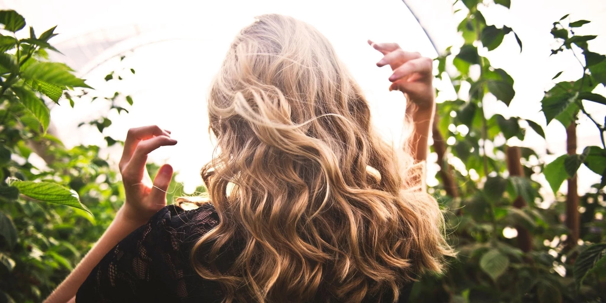 Nährstoffe für schöne und gesunde Haare – was hilft wirklich? - Kurkraft