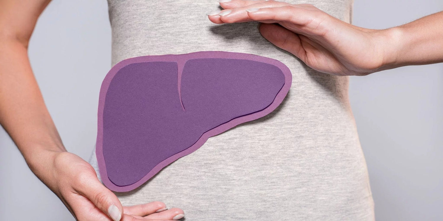 Wie erhalte ich meine Leber gesund? - Kurkraft