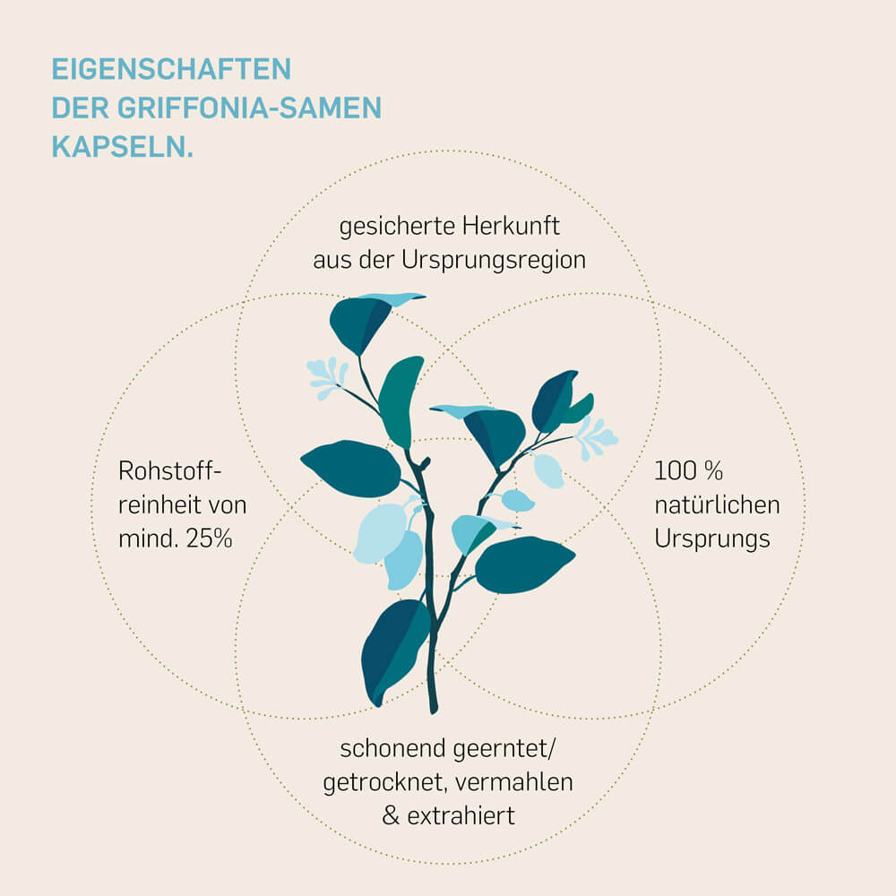 Eigenschaften der Kurkraft Griffonia-Kapseln – Herkunft, 25 % Reinheit, natürlicher Ursprung