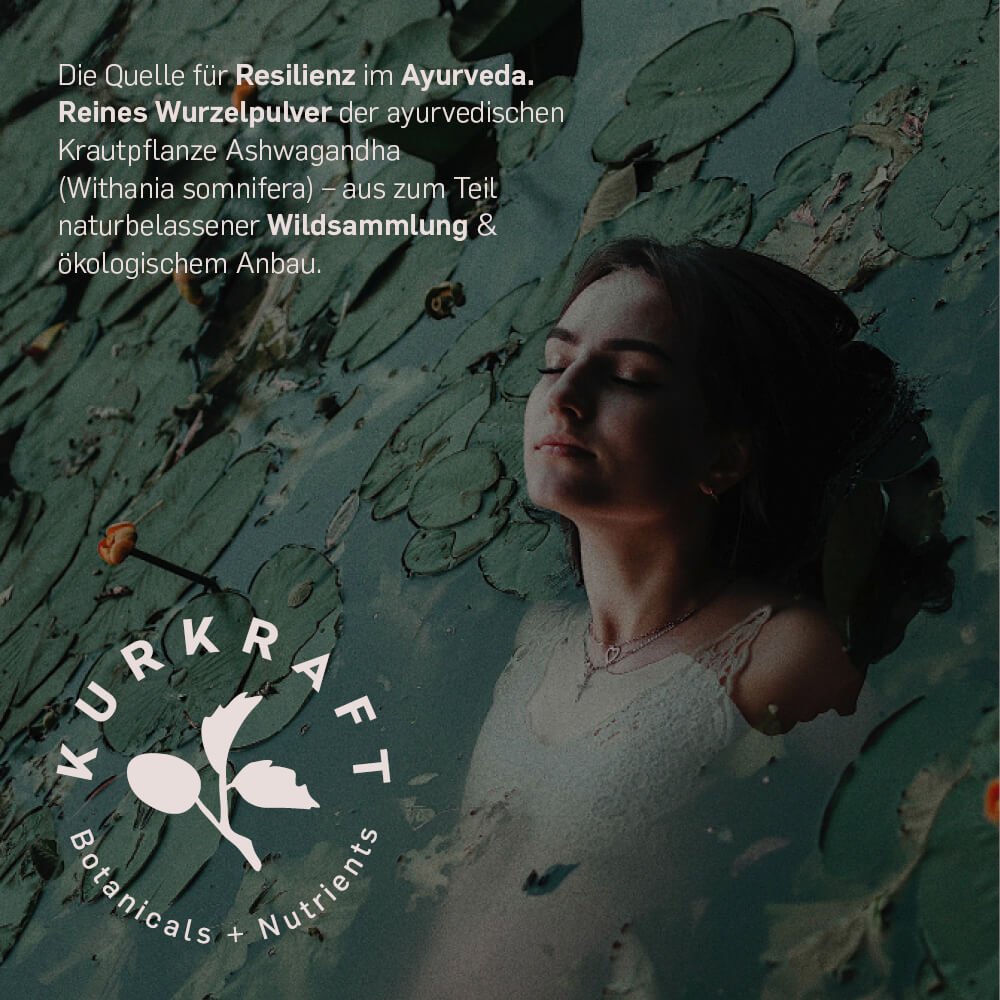 BIO ASHWAGANDHA - Kurkraft - BIO ASHWAGANDHA