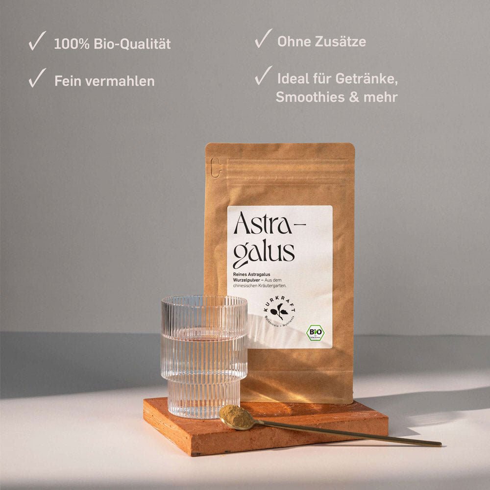 BIO ASTRAGALUSWURZEL PULVER - Kurkraft - BIO ASTRAGALUSWURZEL PULVER