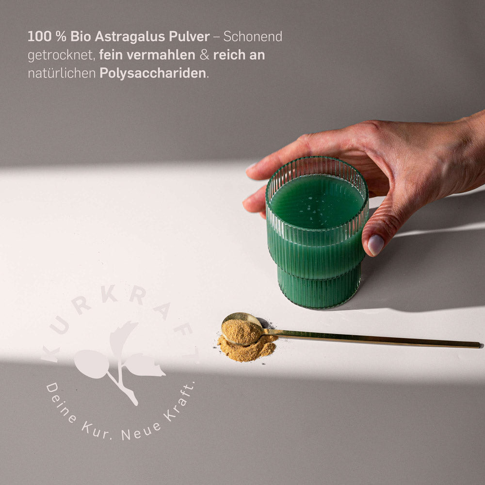Bio Astragaluswurzel Pulver von Kurkraft – TCM-Traditionspflanze Astragalus membranaceus