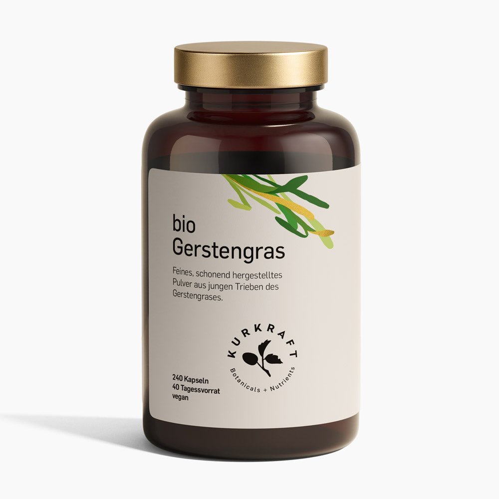 BIO GERSTENGRAS - Kurkraft - BIO GERSTENGRAS