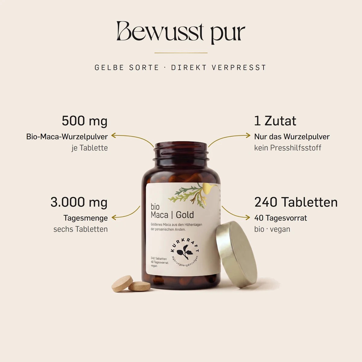 Bio Maca Gold Tabletten von Kurkraft, geoeffnete Dose: 500 mg gelbes Bio-Maca-Wurzelpulver je Tablette, 1 Zutat