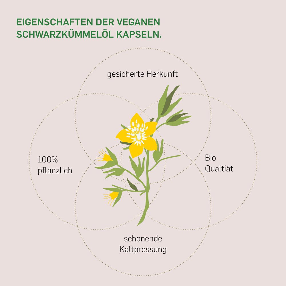 BIO SCHWARZKÜMMELÖL - Kurkraft - BIO SCHWARZKÜMMELÖL