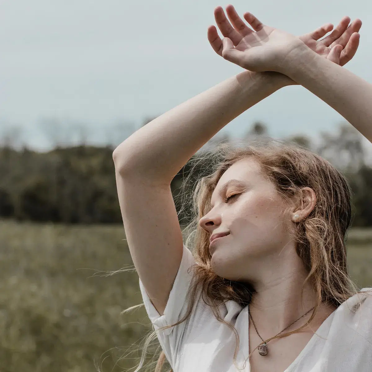 Mönchspfeffer-Strauch mit reifen Früchten – Vitex agnus-castus aus dem Mittelmeerraum