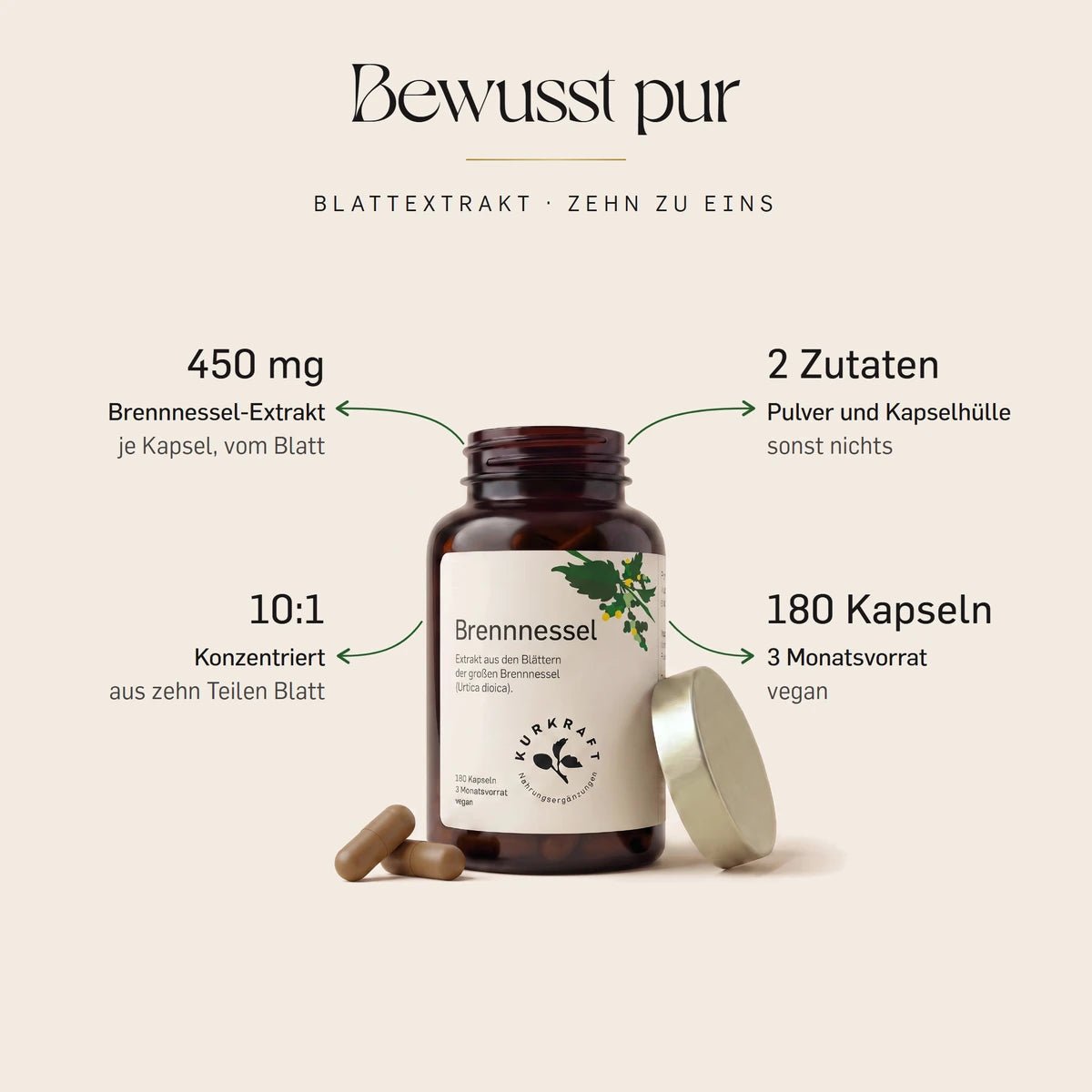 Brennnessel Kapseln von Kurkraft, geoeffnete Dose: 450 mg Brennnesselblatt-Extrakt 10:1 je Kapsel, zwei Zutaten