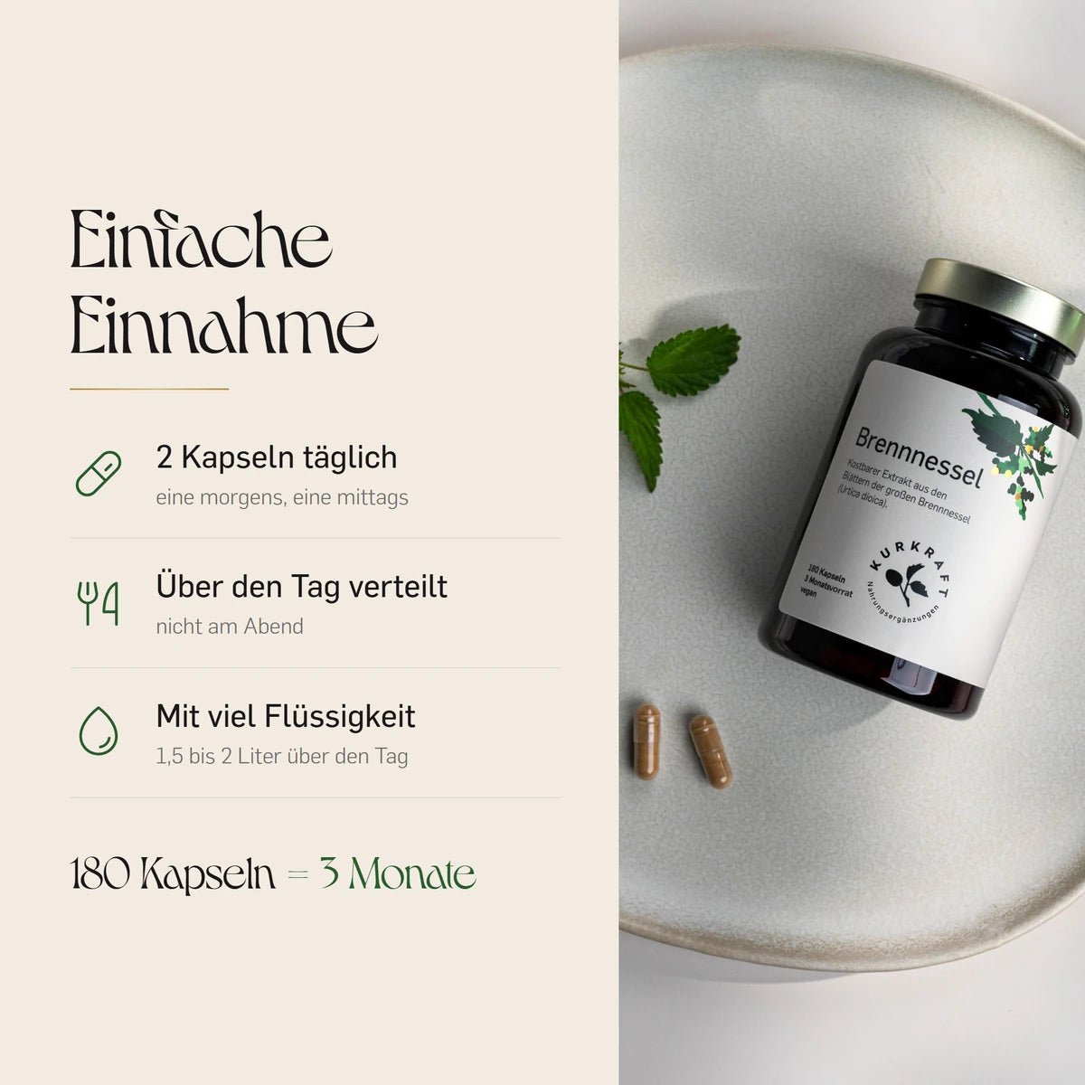 Einnahme der Brennnessel Kapseln: 2 Kapseln taeglich, eine morgens und eine mittags, nicht am Abend, mit viel Fluessigkeit, 180 Kapseln fuer 3 Monate