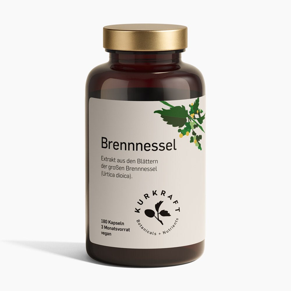 BRENNNESSEL - Kurkraft - BRENNNESSEL