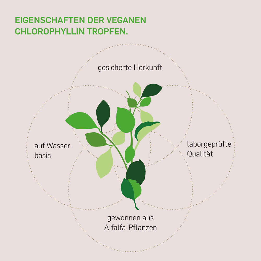 CHLOROPHYLLIN FLÜSSIG - Kurkraft - CHLOROPHYLLIN FLÜSSIG