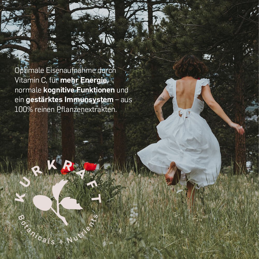 EISEN AUS CURRYBLATT - Kurkraft - EISEN AUS CURRYBLATT