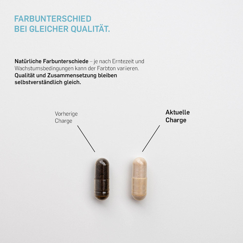 GRIFFONIA - Kurkraft - GRIFFONIA