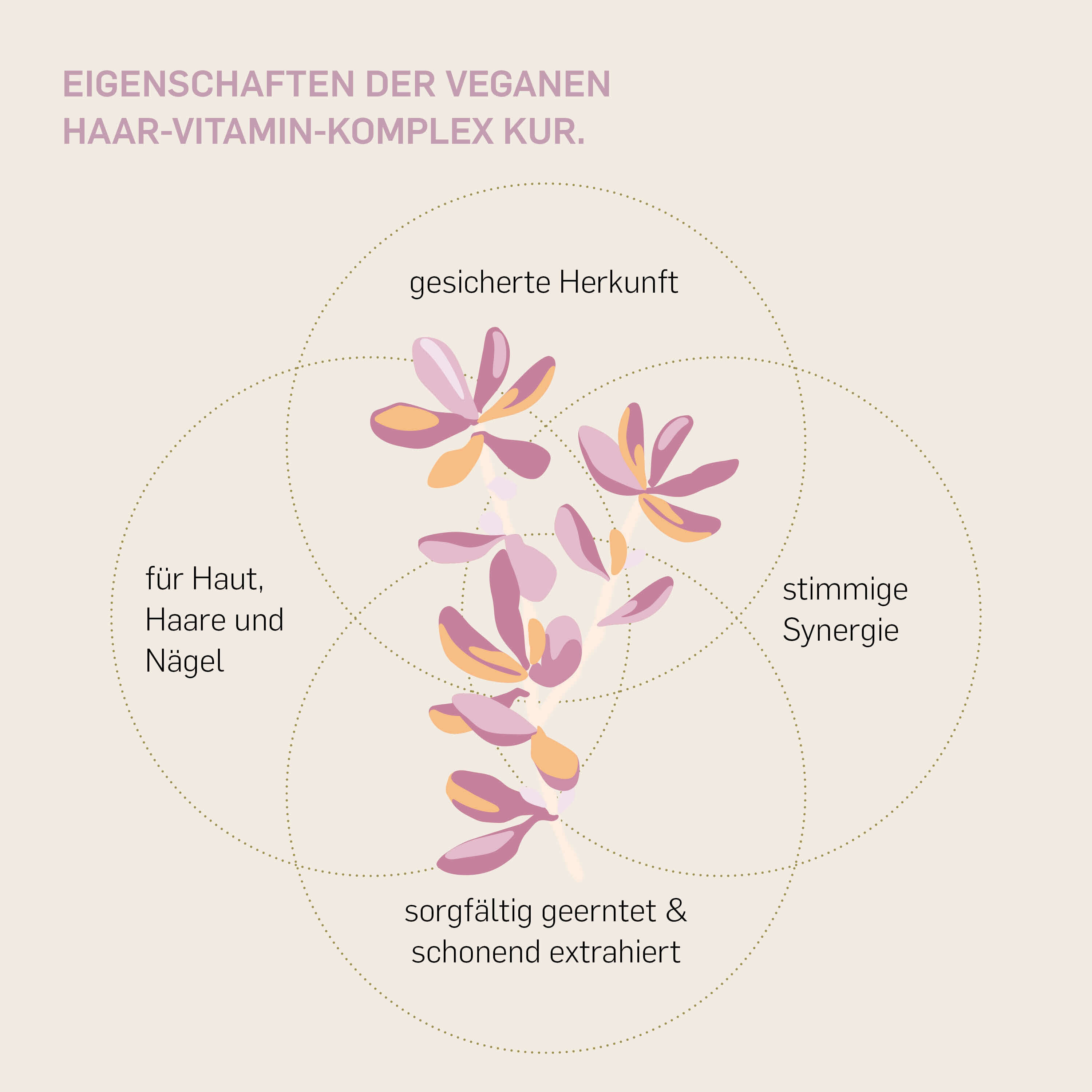 Eigenschaften Kurkraft Haar-Vitamin-Komplex – vegan, gesicherte Herkunft, für Haut, Haare und Nägel