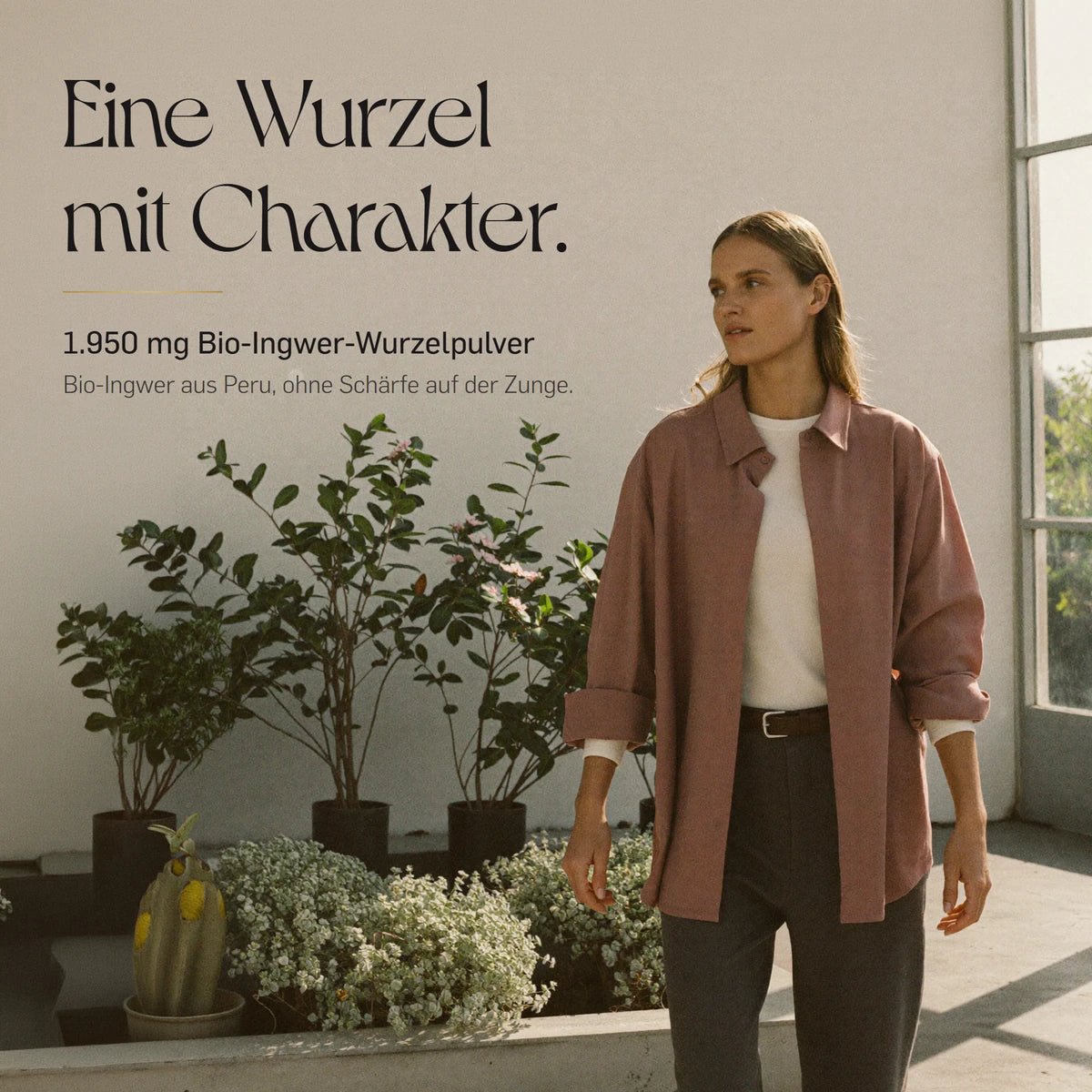 Bio Ingwer Kapseln von Kurkraft: 1.950 mg Ingwer-Wurzelpulver aus Peru als Kapsel geschluckt, nichts zu schmecken, 120 Kapseln