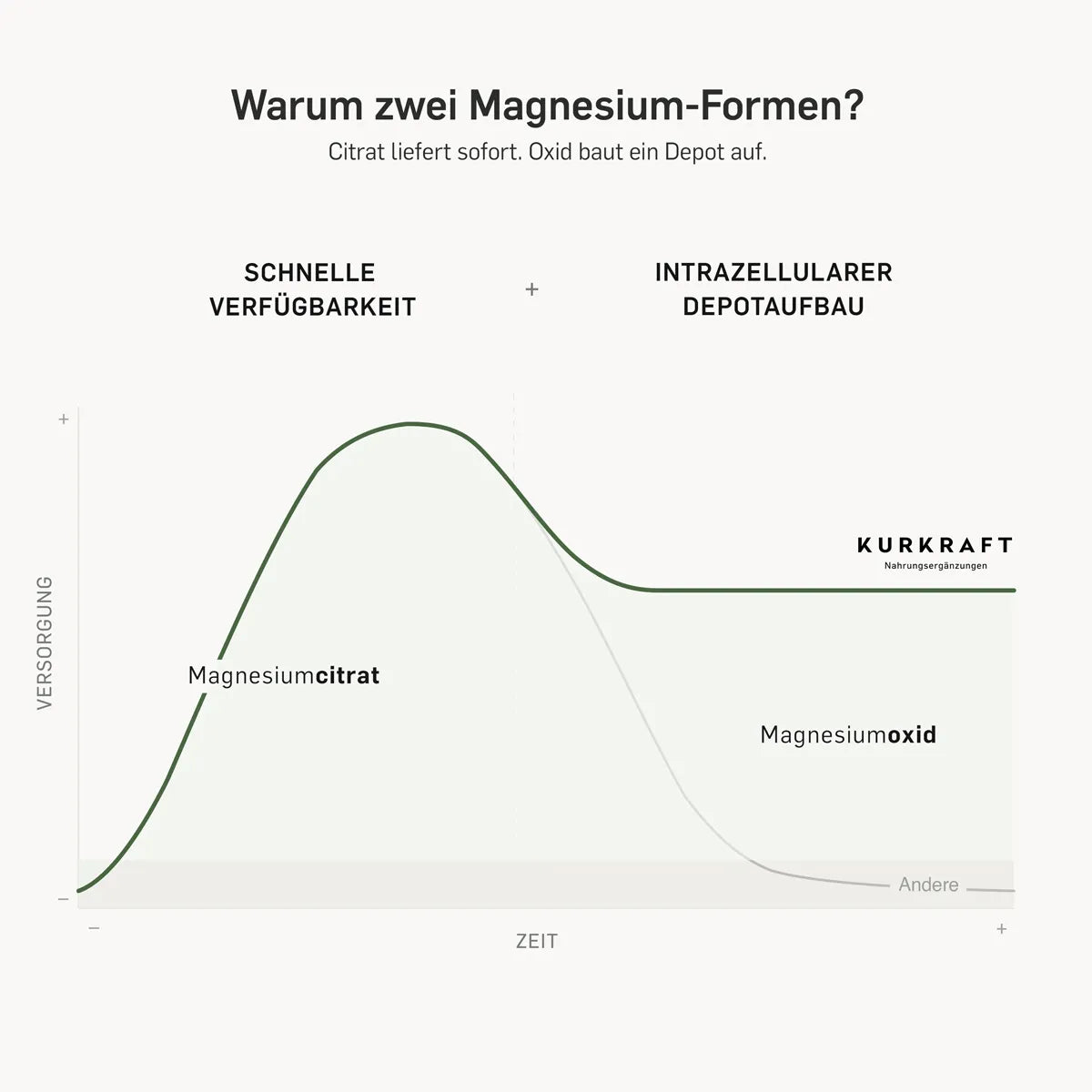 Magnesiumcitrat und Magnesiumoxid – zwei Verbindungen für den Kurkraft Magnesium Komplex