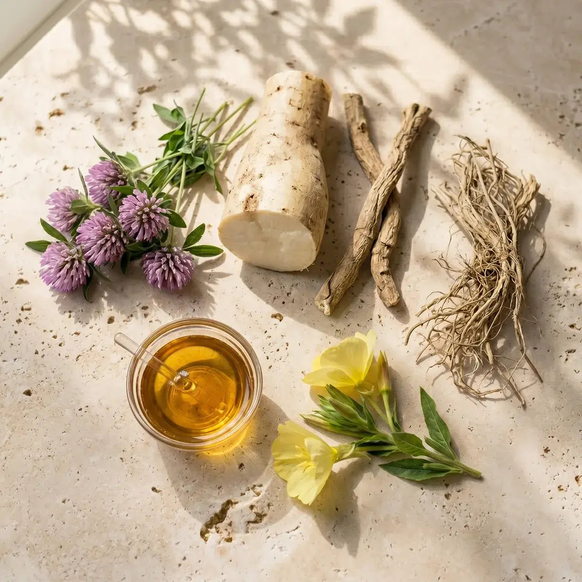 Meno Balance Rezeptur – sechs Pflanzenextrakte und vier Mikronährstoffe