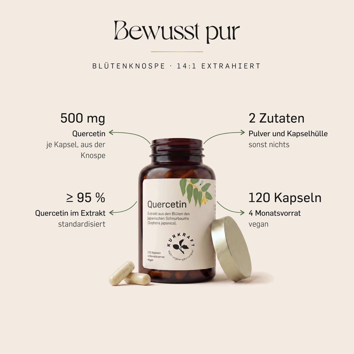 Quercetin Kapseln von Kurkraft, geoeffnete Dose: 500 mg Quercetin je Kapsel aus Sophora-japonica-Bluetenextrakt, mindestens 95 Prozent, zwei Zutaten