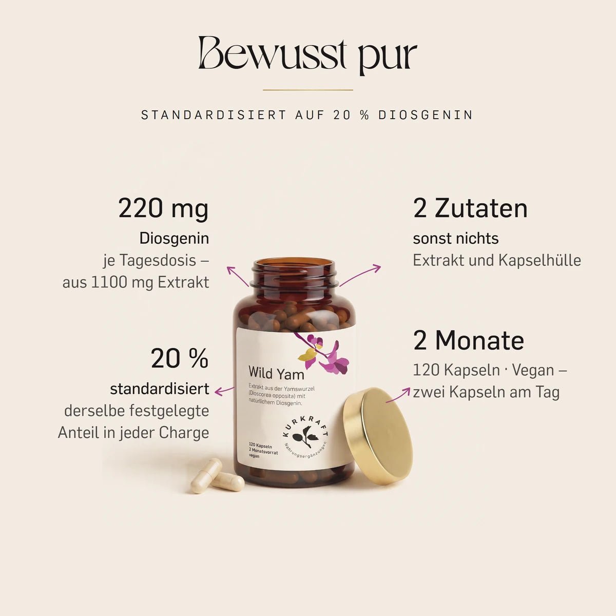 Wild Yam Kapseln von Kurkraft, geöffnete Dose: Yamswurzel-Extrakt standardisiert auf 20 % Diosgenin, 220 mg Diosgenin je Tagesdosis