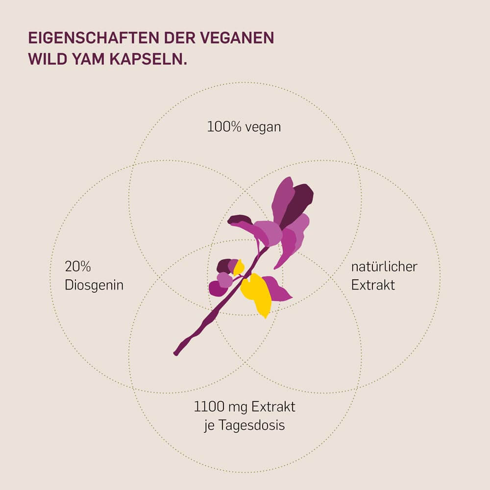 WILD YAM - Kurkraft - WILD YAM