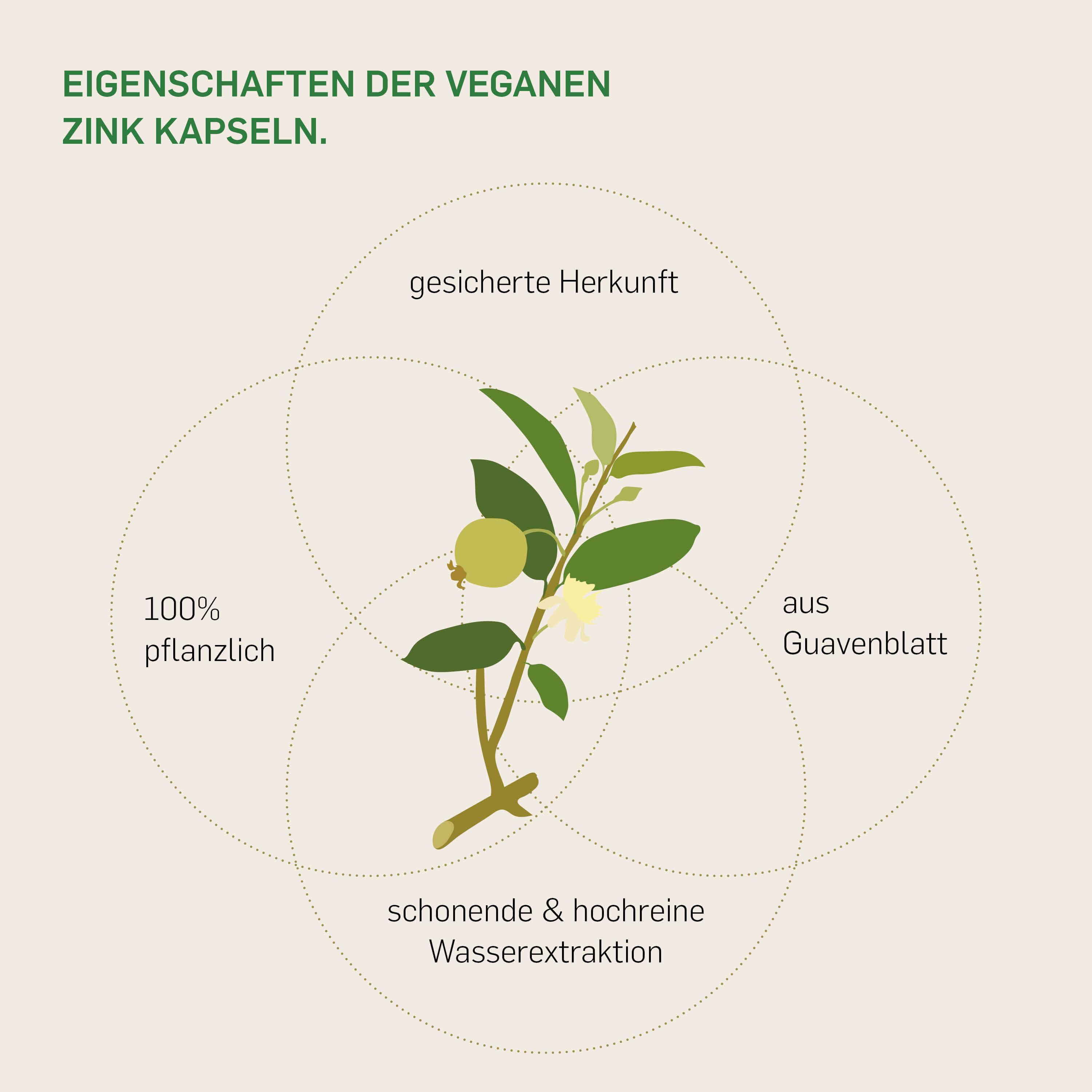 ZINK AUS GUAVE - Kurkraft - ZINK AUS GUAVE