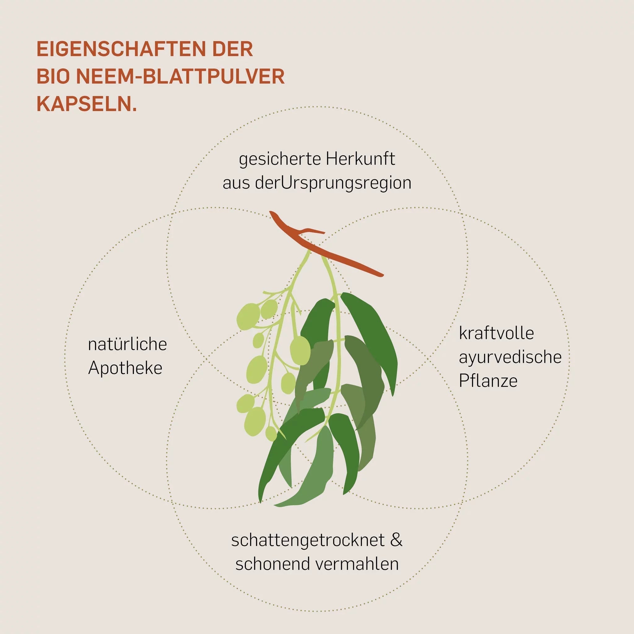 BIO NEEM - Kurkraft - BIO NEEM - Kurkraft
