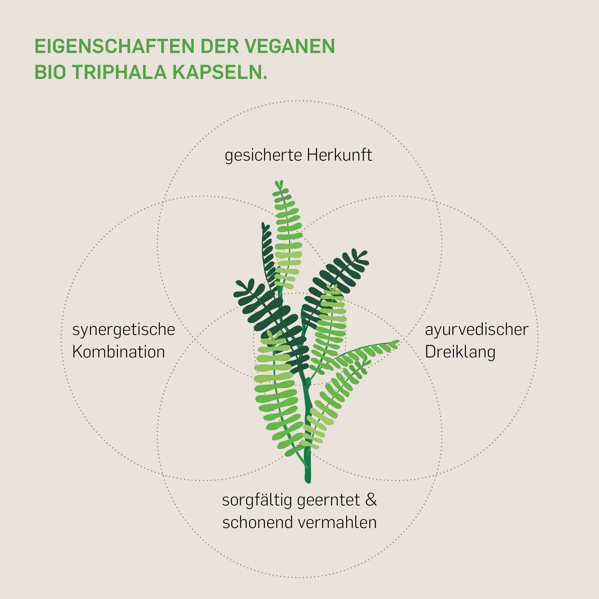 BIO TRIPHALA - Kurkraft - BIO TRIPHALA - Kurkraft