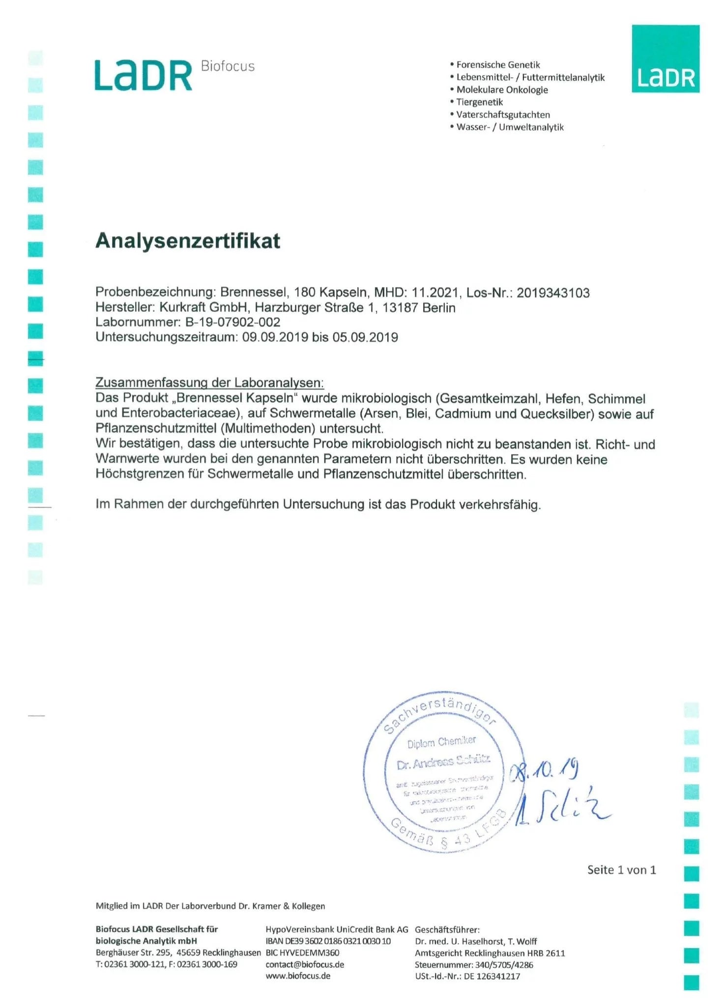 BRENNNESSEL - Kurkraft - BRENNNESSEL - Kurkraft