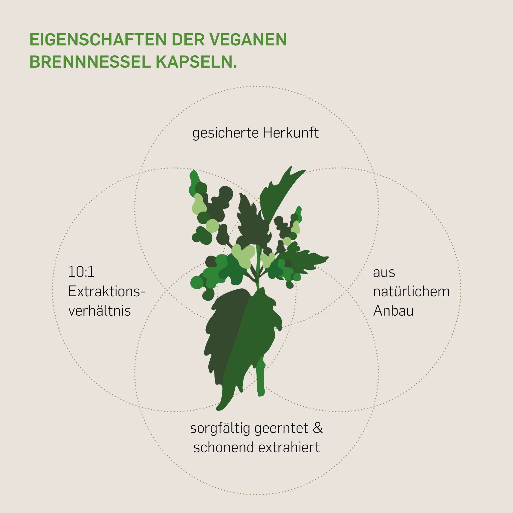 BRENNNESSEL - Kurkraft - BRENNNESSEL - Kurkraft