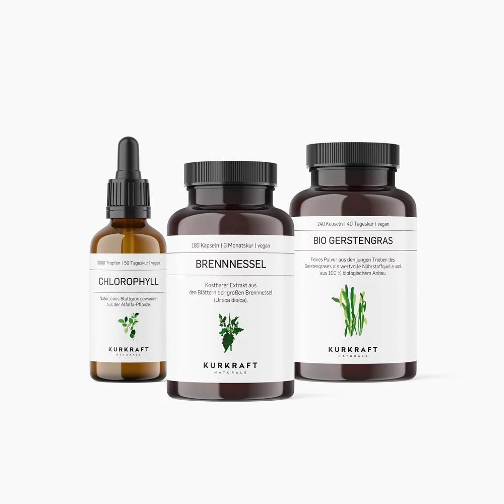 Pflanzenkraft-Bundle - Kurkraft - Detox-Bundle - Kurkraft