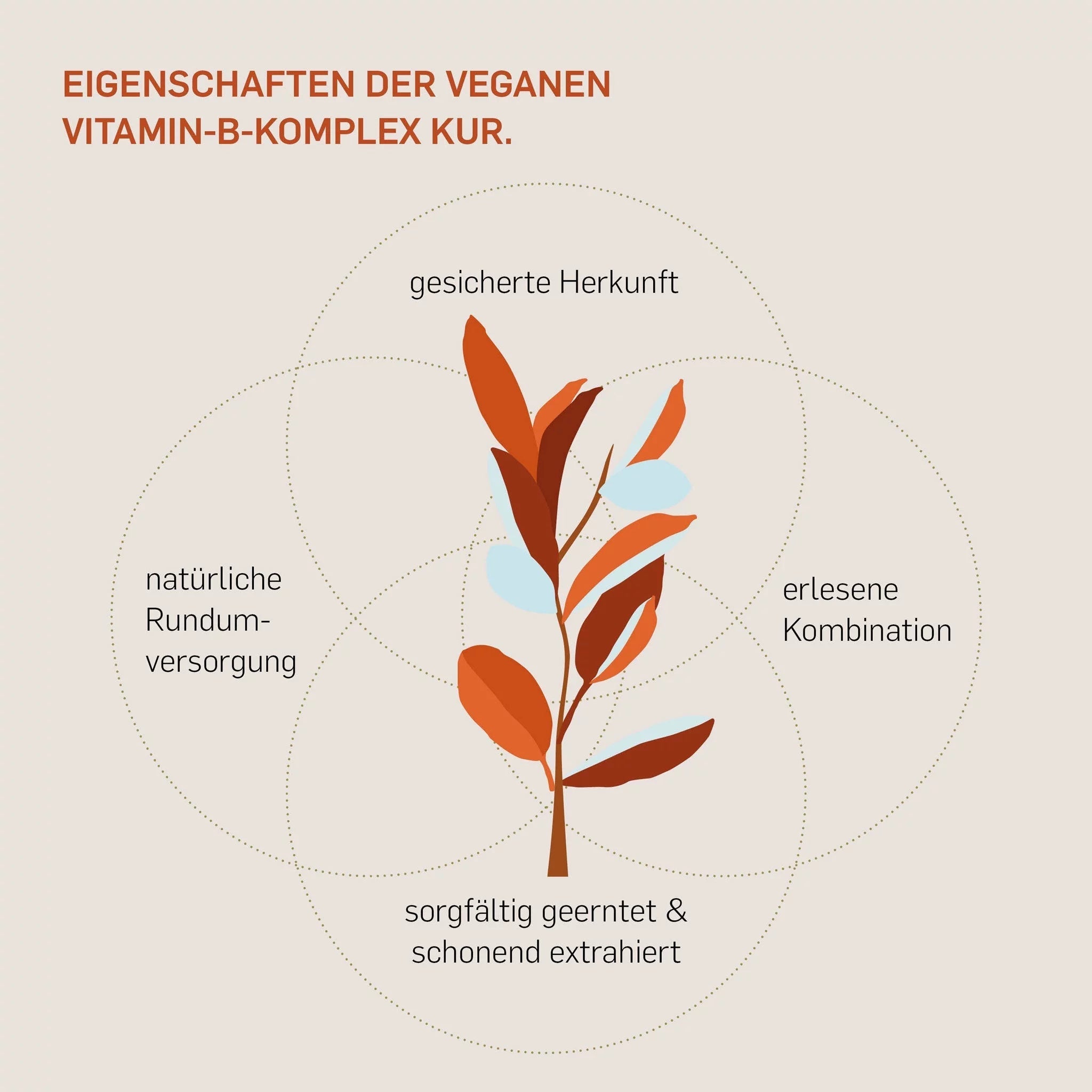 Eigenschaften Kurkraft Vitamin B Komplex – bioaktiv, 8 B-Vitamine, Ko-Faktoren, laborgeprüft