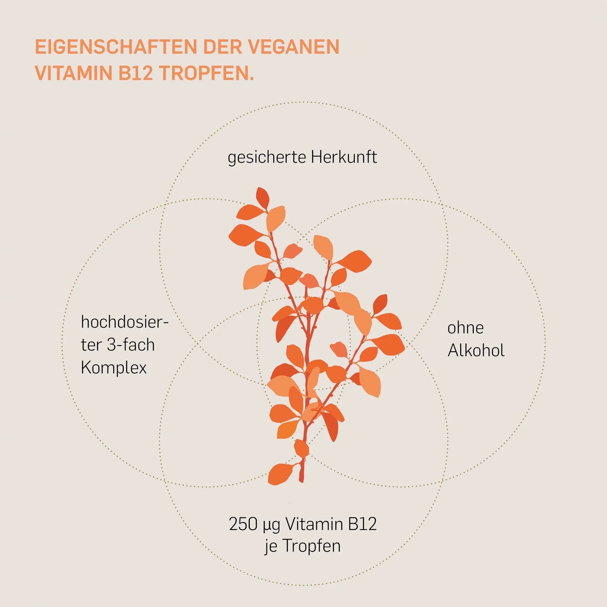 VITAMIN B12 - Kurkraft - VITAMIN B12 - Kurkraft