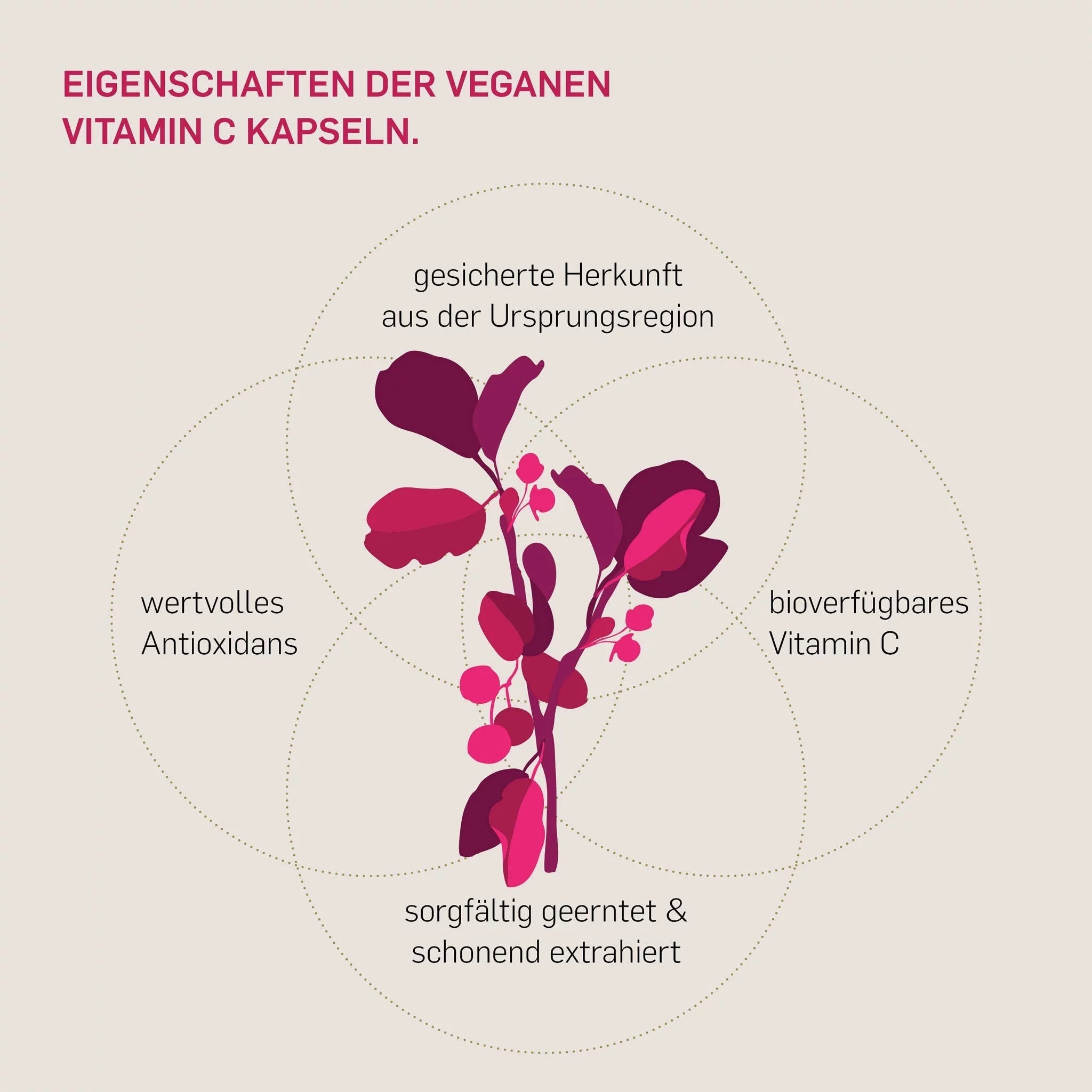 VITAMIN C aus Acerola - Kurkraft - VITAMIN C aus Acerola - Kurkraft