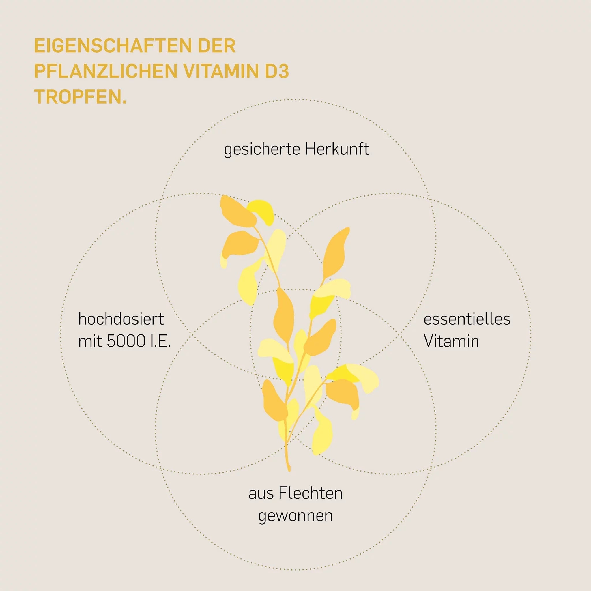 VITAMIN D3 VEGAN 5000 - Kurkraft - VITAMIN D3 VEGAN 5000 - Kurkraft