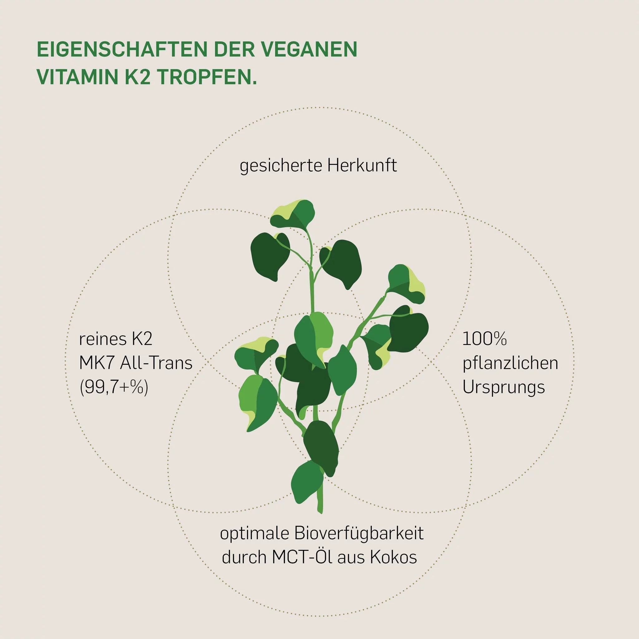 VITAMIN K2 - Kurkraft - VITAMIN K2 - Kurkraft