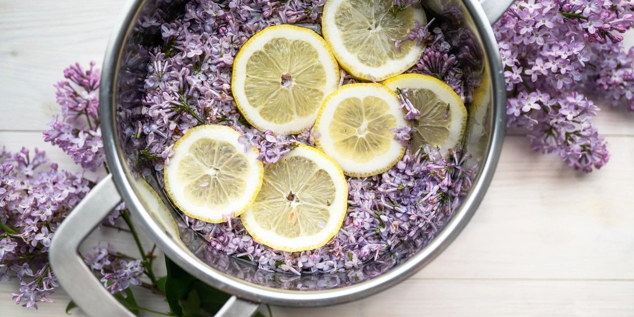 Fliedersirup selbst herstellen – so einfach geht’s. Fliedersirup selbst herstellen – so einfach geht’s.