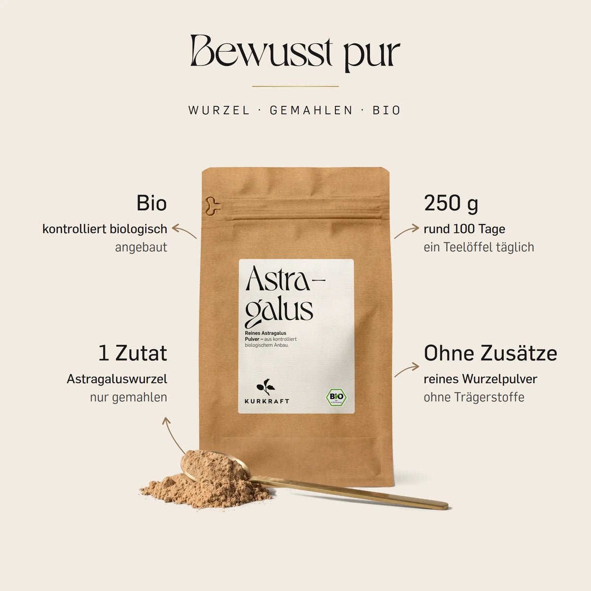 Astragalus Pulver bio von Kurkraft: eine Zutat, gemahlene Astragaluswurzel aus Bio-Anbau, 250 g für rund 100 Tage