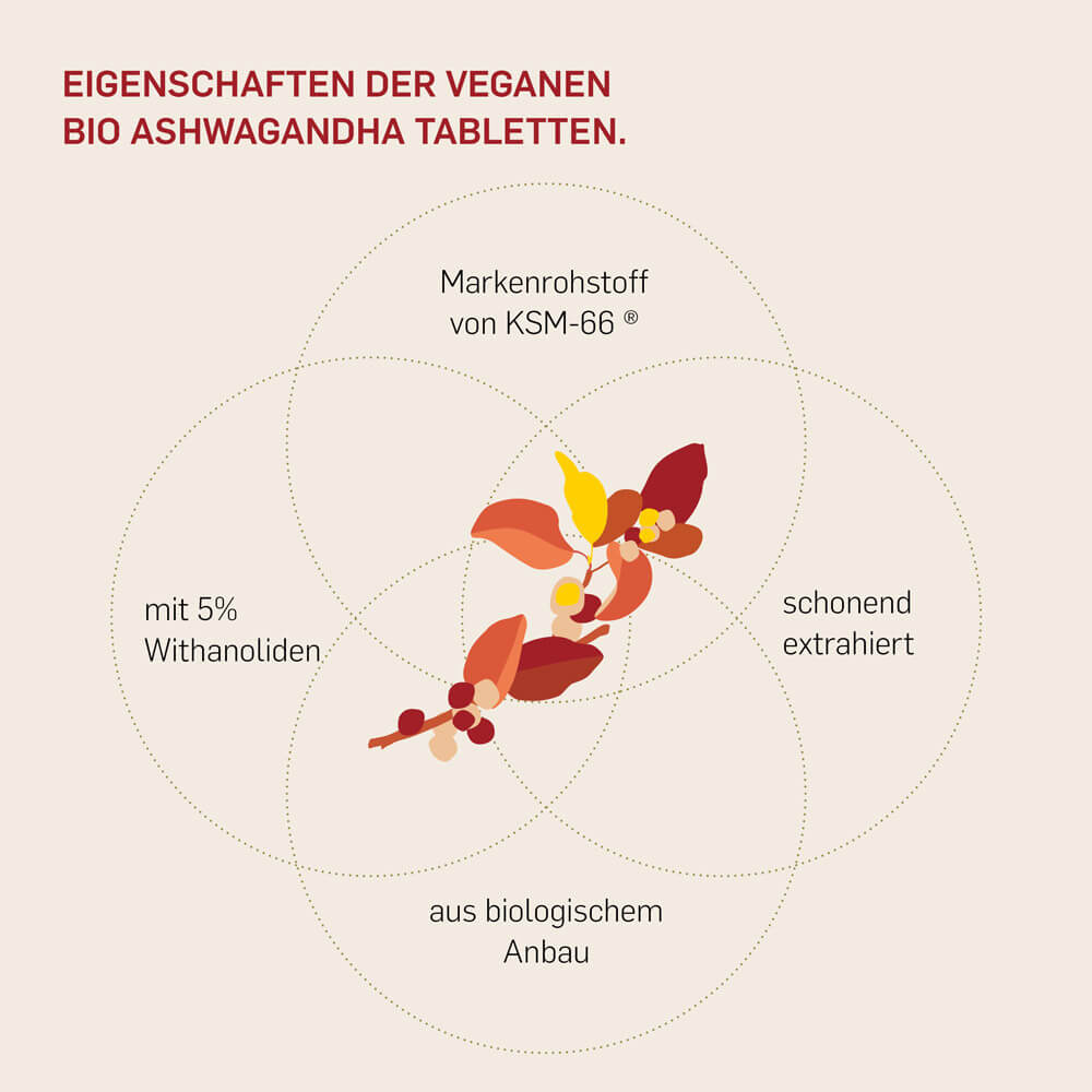 BIO ASHWAGANDHA KSM - 66 - Kurkraft - BIO ASHWAGANDHA KSM - 66