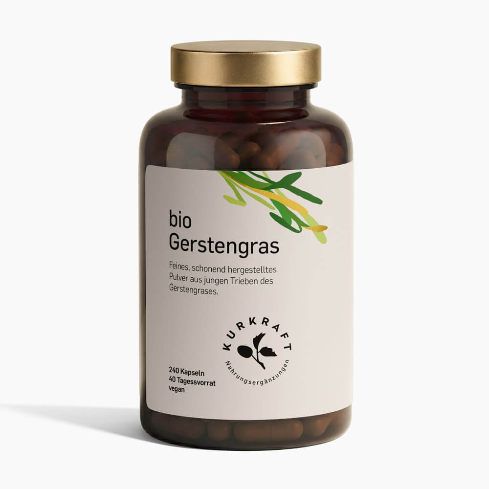 BIO GERSTENGRAS - Kurkraft - Bio Gerstengras Kapseln – Frontansicht der Verpackung von Kurkraft
