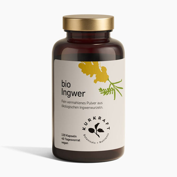 Kurkuma Kapseln - Ingwer + Pfeffer Piperin (1420mg X Dosis