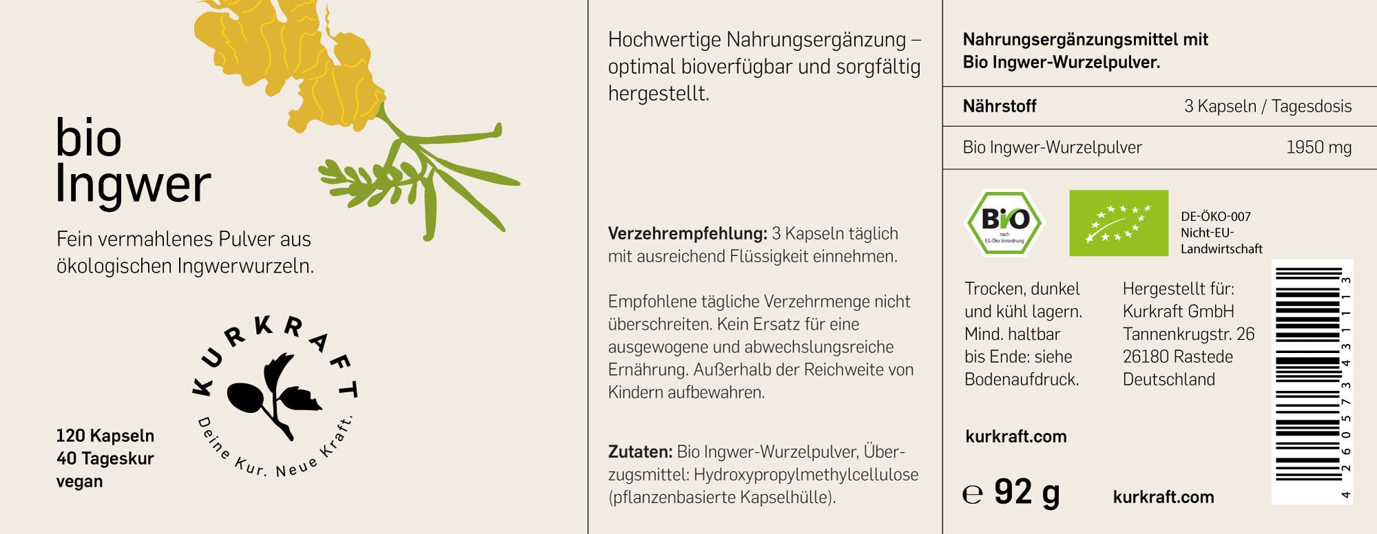 BIO INGWER - Kurkraft - BIO INGWER