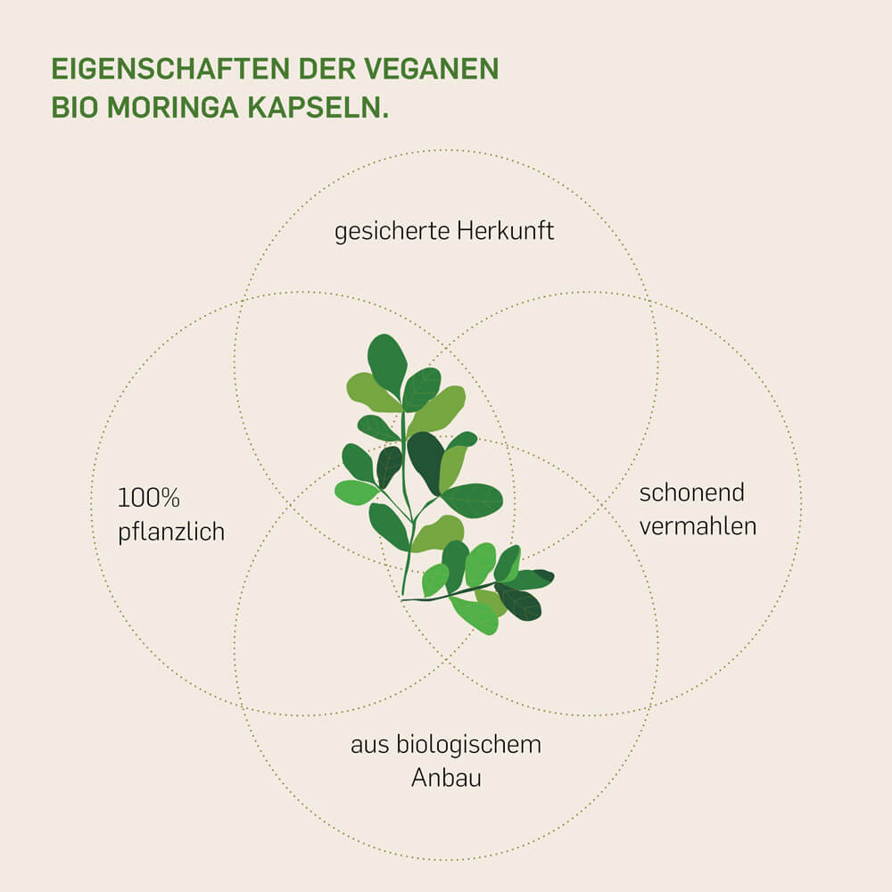 BIO MORINGA - Kurkraft - BIO MORINGA