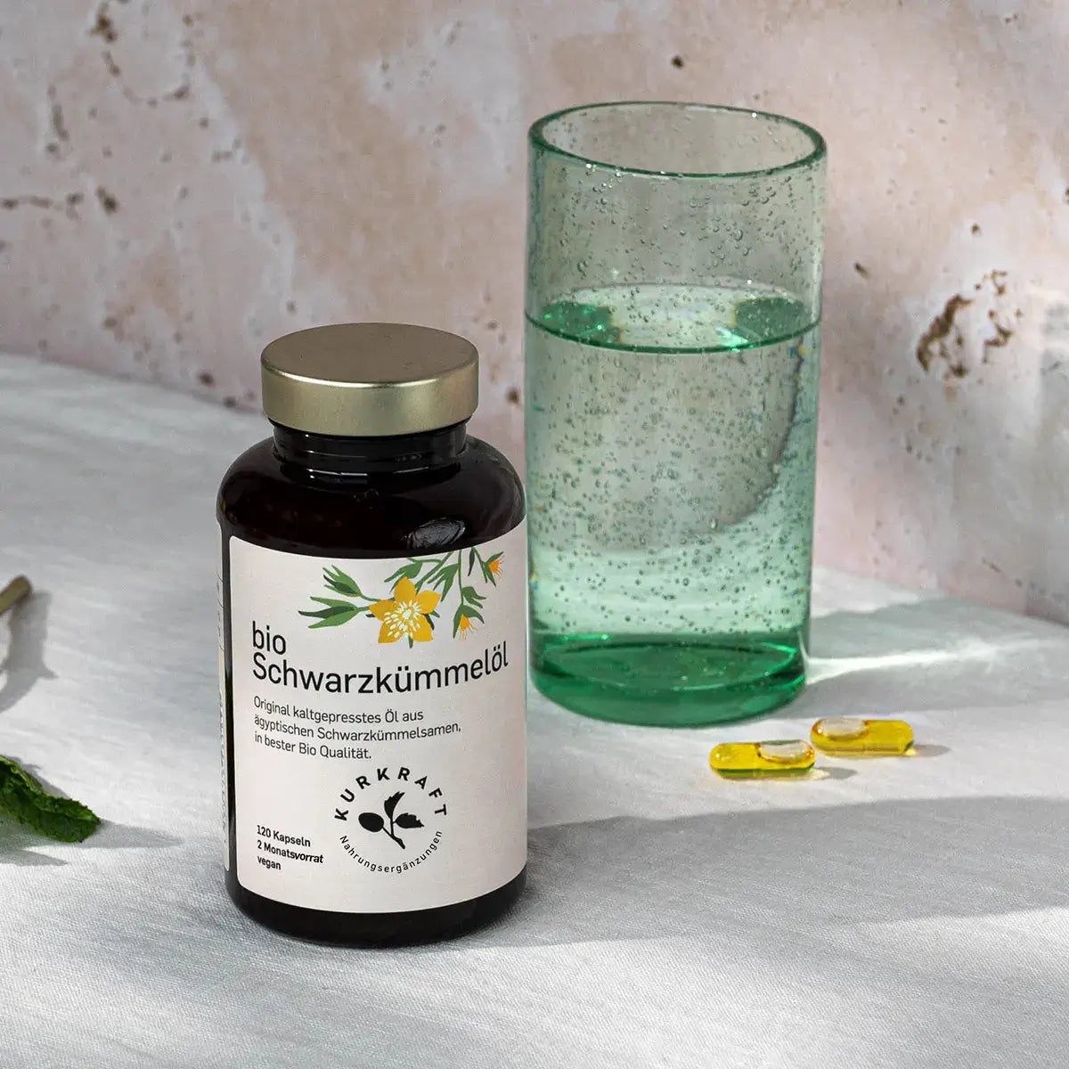 Nigella sativa Pflanze mit Samenkapseln in ägyptischer Wüstenregion – Rohstoff Kurkraft Schwarzkümmelöl