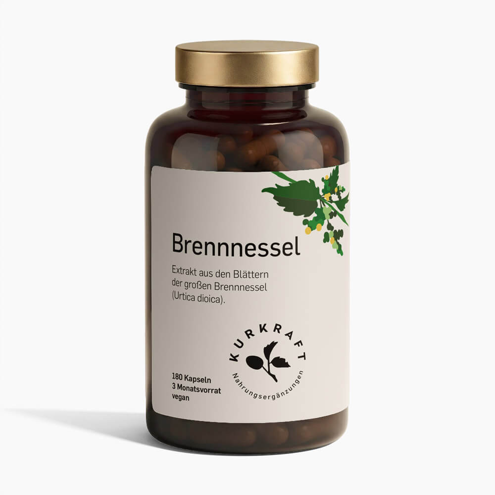 BRENNNESSEL