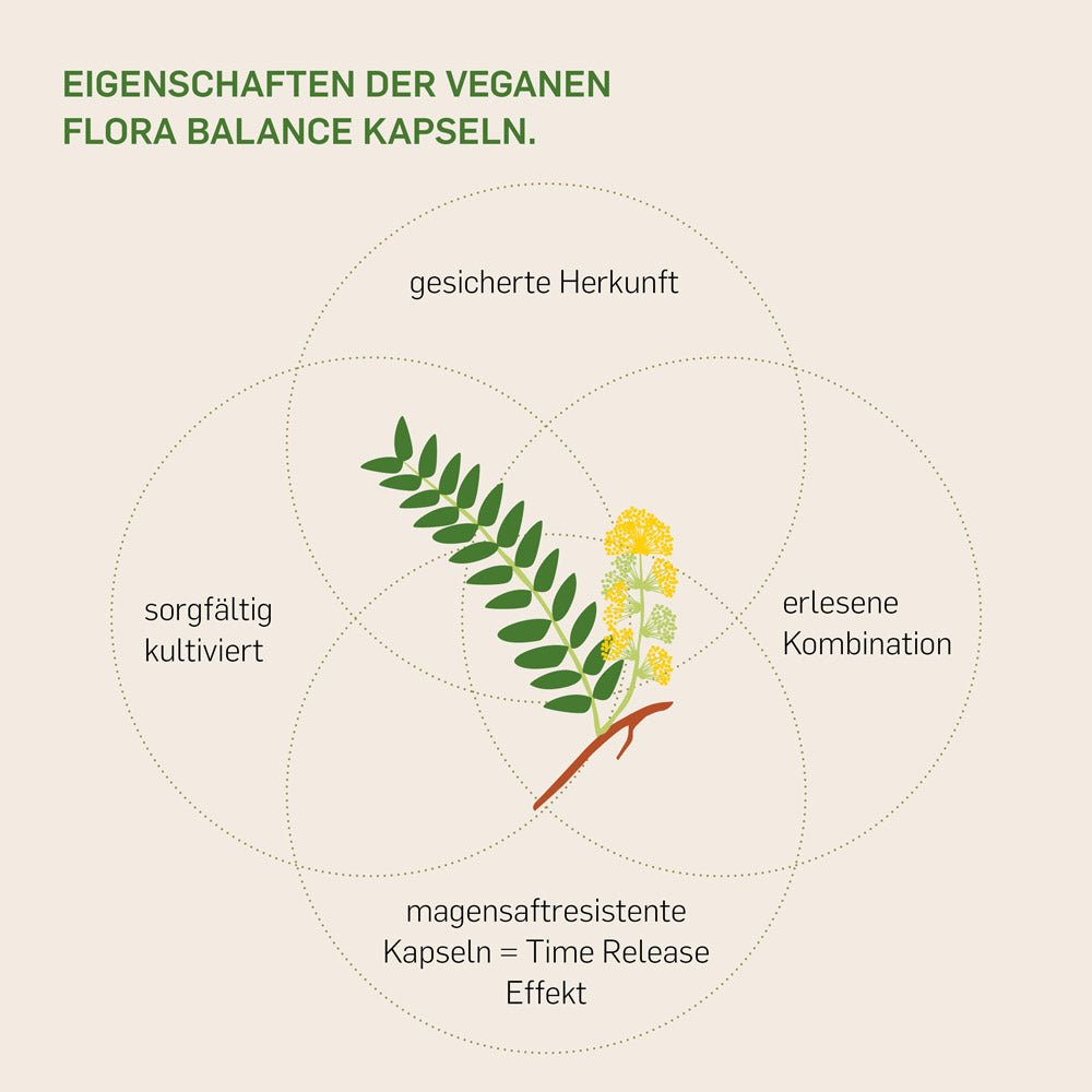 FLORA BALANCE - Kurkraft - FLORA BALANCE