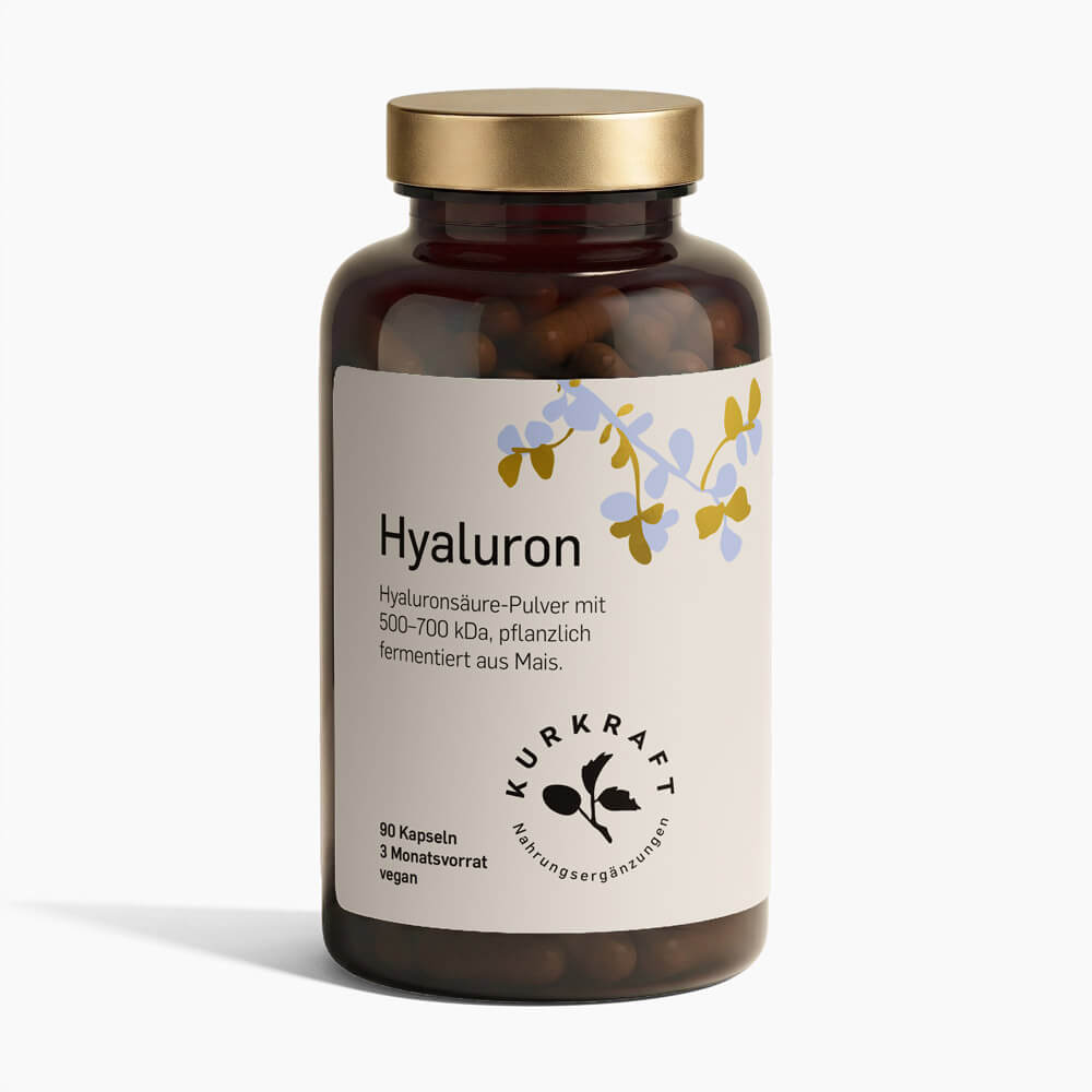 Hyaluron Kapseln 500 mg vegan – eine Zutat