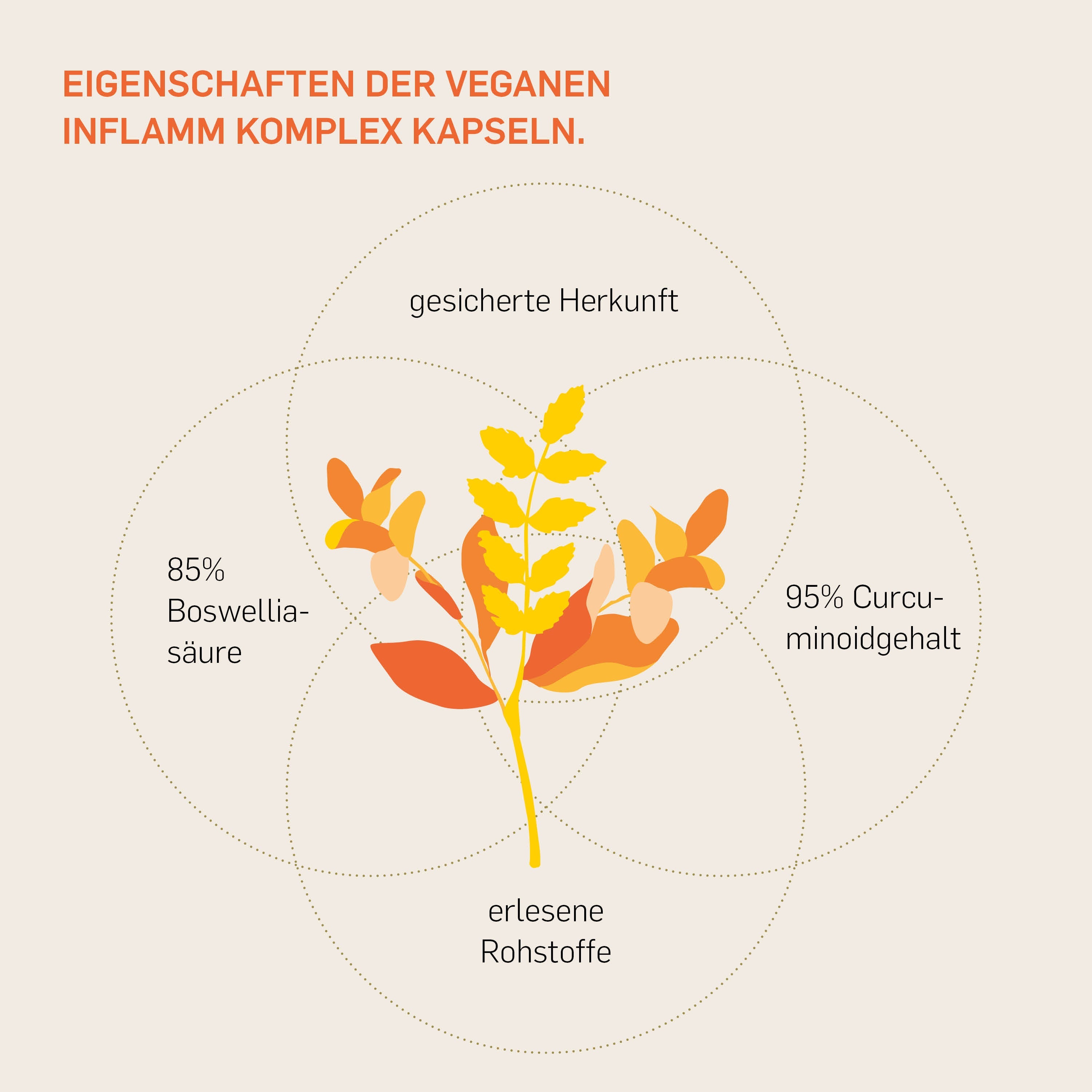 INFLAMM KOMPLEX - Kurkraft - INFLAMM KOMPLEX