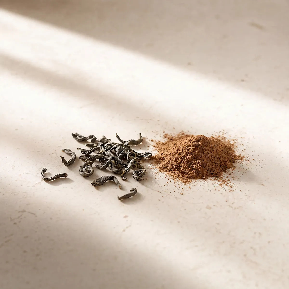 Getrocknete Blätter von Camellia sinensis neben dem feinen braunen Extraktpulver